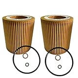 2 x Oil Filter Element Set Fit for BMW 128i 135i 323i 325i 328i 330i 335i 428i 435i 525i 528i 530i