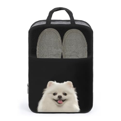 V[YP[X |jA  V[YobO V[Y|[` V[Y gx|[` C  V[Y o s y ^тɕ֗ [obO ւ jp AEghA o s v[g