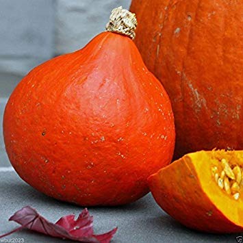 Amazon.com : Red Kuri Squash Seeds- Open-Pollinated,Japanese