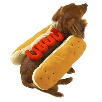 Casual Canine Hot Diggity Dog Costume, Large (fits lengths up to 20