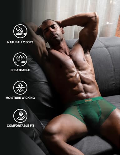 Men Mesh Boxer Briefs Stretch Breathable Underwear Hipsters Trunk3