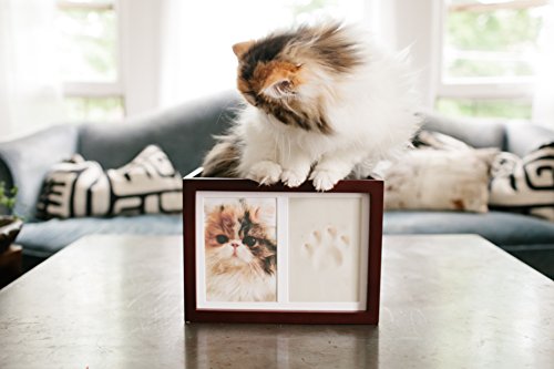 Pearhead Dog or Cat Personalized Memory Box Keepsake, Pet Urn, Espresso, 41406