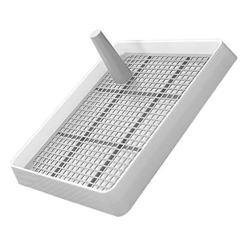 Angoily pgCg[ bVt Uh~ fUCgC G΍ hO? ^p