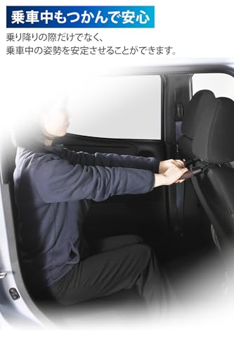 カーメイト 車用手すりグリップ CD21 ノーマルサイズ