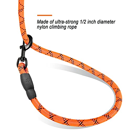Barkbay Dog Leashes For Large Dogs Rope Leash Heavy Duty Dog Leash With Comfortable Padded Handle And Highly Reflective Threads 5 Ft For Small Medium Large Dogs(Orange) #TOP3