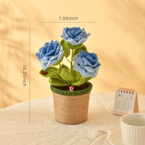 Plantes en pot en crochet bleu azur pour illuminer votre bureau et salon