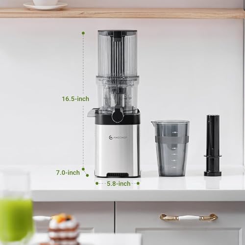 AMZCHEF Cold Press Juicer, Juicer Machines - 4.6" Large Feed Chute for Whole Fruits & Vegetables, Stainless Steel Slow Masticating Juicer Easy to Clean, Large Auger, Double Strainers, Silver