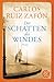 Der Schatten des Windes: Roman