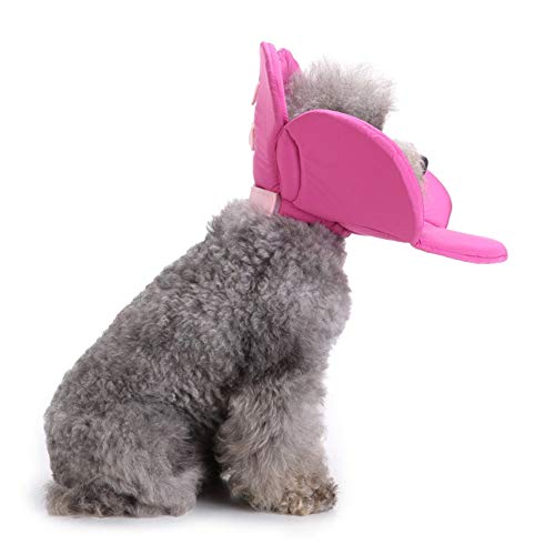 MEISISLEY Collare Elisabettiano Cane Collare