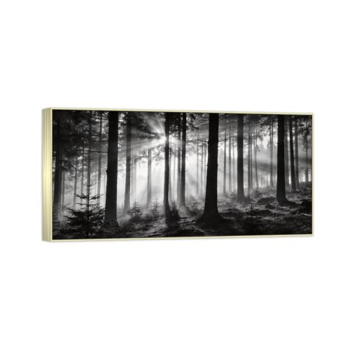 Tableau forêt noir et blanc pour réveiller un mur blanc et triste