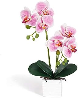 RENATUHOM Pink Orchid Plant Artificial Flowers Artificial Orchids Faux Flower Arrangement With Porcelain Pots Faux Orchid Pink Flowers For Diningroom Livingroom Bedroom Table Decor