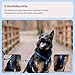 Chaba Guard Hundegeschirr für kleine und mittelgroße Hunde mit Kontrolle, Anti-Zug & Würgen, Verstellbar, Bequem und Leicht, Classic Step-in Brustgeschirr, Dog Harness, Größe M, BLAU