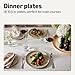 Amazon Basics Glazed Stoneware Dinner Plates, Ceramic 4-Piece Set, Microwave and Dishwasher-Safe, 10.5 in., Linen Gray