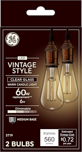 GE Vintage LED ST19 Edison Bulbs Dimmable Warm White 60W 2 Pack