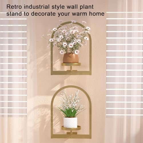 Image of Flenpptly Wall Plant Holder, Wall Planter for Indoor Plants, Window Plant shelves for Multiple Plants Indoor Outdoor, Framed Plant Holder for Home Decor (2 Pack)