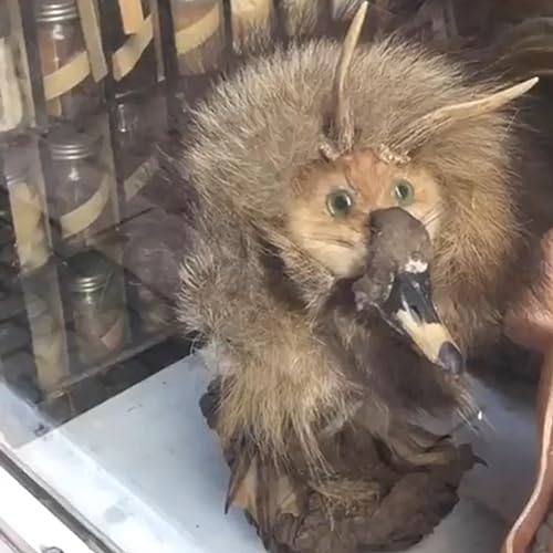 A 450-year-old French Christmas Market