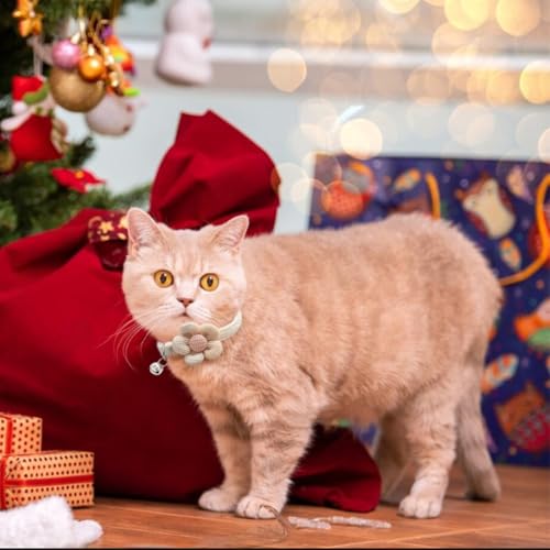 Image of Qpets Breakaway Cat Collar with Bell & Flower, Lovely, Plush, 11L x 5W cm
