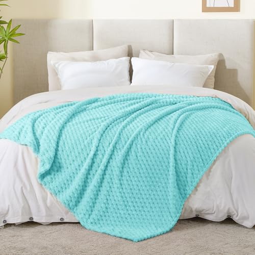 Image of BEDELITE Aqua Twin Blanket for Couch, Soft Cozy Gifts for Women, 60 * 80 | 3D Jacquard Decorative Fleece Blanket, Super Soft Plush Throw, Cute Birthday Gift for Women & Men, Suitable for All Seasons
