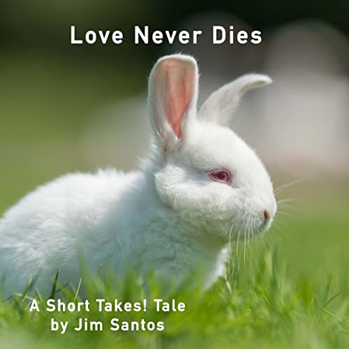 Love Never Dies by Jim Santos episode artwork