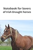 irish sports horse for sale wiltshire  Notebook for lovers of Irish Draught horses: Do you love horses, then you must love Irish Draught horses. (Notebook for horse lovers.)