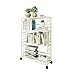 Office Regał Metalowe 4-warstwowe biblioteczki Wyświetlacz Stojak Metalowa siatka Prosta stojak na buty w pomieszczeniu i na zewnątrz Rack Plant Do Home Office and Retail Store (White) Regał do przech