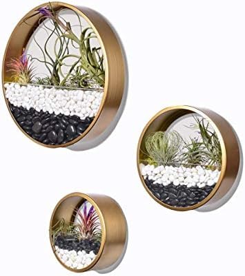 Ecosides Set Van 3 Zwarte Ronde Muurophangplanten Terrarium Luchtplantenhouders Muurophangcontainer Vetplantenpotten In Gemengde Grootte,Goud,Constructive23
