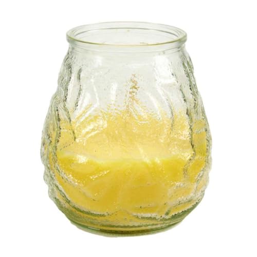 1 Vela de Citronela Antimosquitos en Tarro de Cristal Con Relieve Para Exterior | Velas Decorativas Aromáticas con Suave Olor a Limón | Vela Anti Mosquitos Para Jardín, Terraza, Camping y Picnic