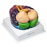 HeineScientific