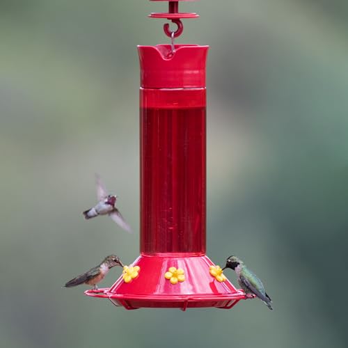 Perky-Pet 409 Hummer’s Favorite Red Plastic Hummingbird Feeder – 30 oz - Thumbnail 5