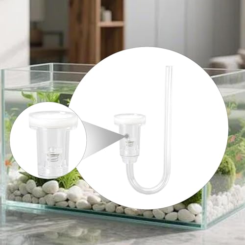 LOL-FUN AN CO2 fBt[U[ NAANZT[ y  CO2 VXe U^  fXN ʐ^ ItBXp, S