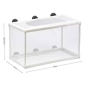 【海】明治金工　銀製　可愛い鼠　ネズミ　重量約97.5g　専用箱付 ステントラス小ねじ (R) M5×8mm | ねじ・くぎ・針金・建築金物