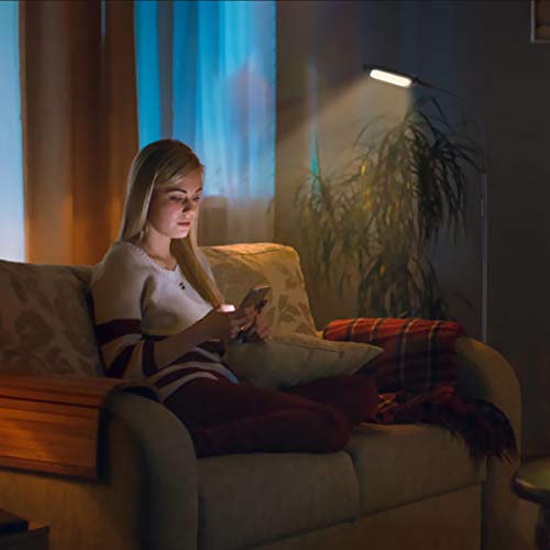 Tomshine Floor Lamp, Touch Led Floor Lamp 1500Lm Stepless Dimming With Remote Control, 4 Colors Temperatures Standing Lamp With Gooseneck For Living Room Bedroom Office Reading #TOP2