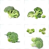 50 piezas semillas de brócoli orgánicas - Brassica oleracea - semillas de variedades de hortalizas antiguas, semillas de brócoli para jardín de hierbas, hortalizas orgánicas, semillas de plantas,