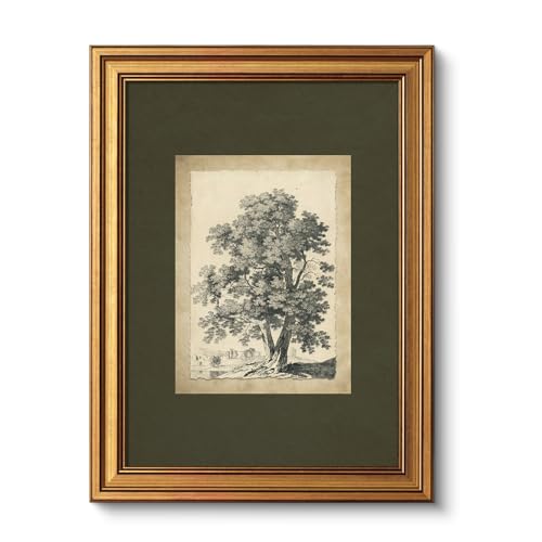 VIYYIEA Vintage Gold Framed Wall Art, Tree Forest Landscape Painting Canvas Prints Green Gray Tree Natural Sketch Picture Rustic Farmhouse Artwork for Living Room Bedroom Bathroom, 12x16inch