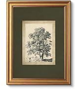 VIYYIEA Vintage Gold Framed Wall Art, Tree Forest Landscape Painting Canvas Prints Green Gray Tre...