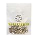 M10 Flange Nuts, 304 Stainless Steel M10-1.5 Serrated Flange Hex Lock Nuts, 10Pcs-Pack