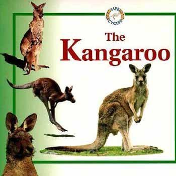 Paperback The Kangaroo (Life Cycles) Book
