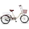 ZJZ Driewielige fiets 20 Inch Trike Fiets Verstelbare Rugleuning Seat 3-wiel Fiets Cargo Mand Voor Heren Dames