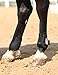 Tackmore Horse Tendon Boots Wear-Resistant w/Open Front Horse Jumping Boots for Daily Training Competition Leg Protection Black M