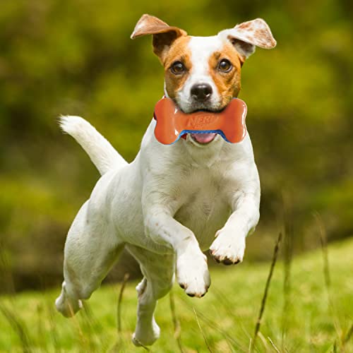 Nerf Dog TPR EXO Squeak Dog Toy, Lightweight, Durable and Water Resistant, Single Unit, Blue/Orange - Image 2