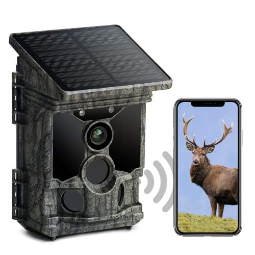 LMHOME Wildkamera Mit WLAN & App | 5K 60MP Nachtsicht | Wasserdicht IP66 | Inkl. 32GB SD-Karte & Batterien