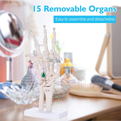 ANNWAH Hand Skeleton Model - Medical Human Finger Bone Made of PVC Posable Hand Showing Ulna and Radius for Research and Learning - Thumbnail 3