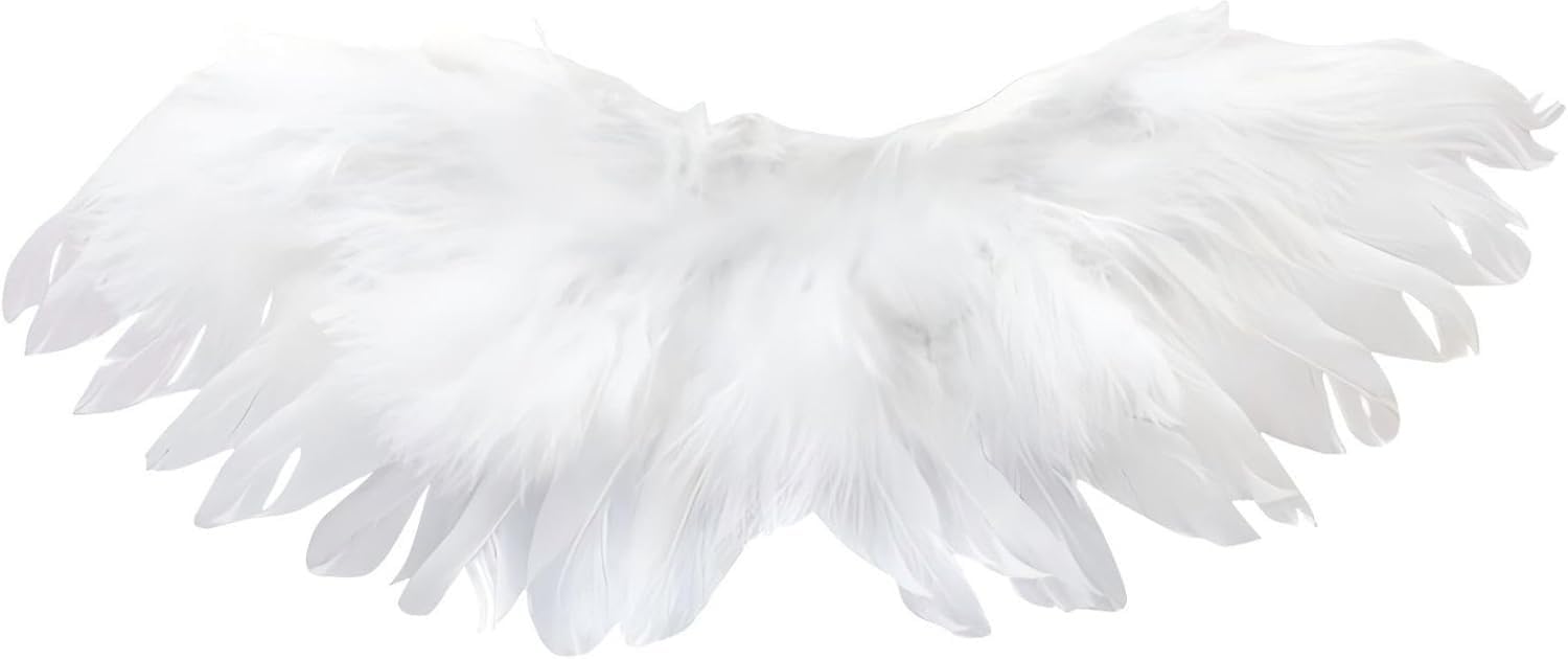 17cm Doll Clothes,Clothes for Dolls Outfit,Accessories for 17cm Dolls Clothes,Cute Clothes for Dress up Unique Style,1 Angel White Wings Girl for Best Gifts No Doll Included (WHITE1)