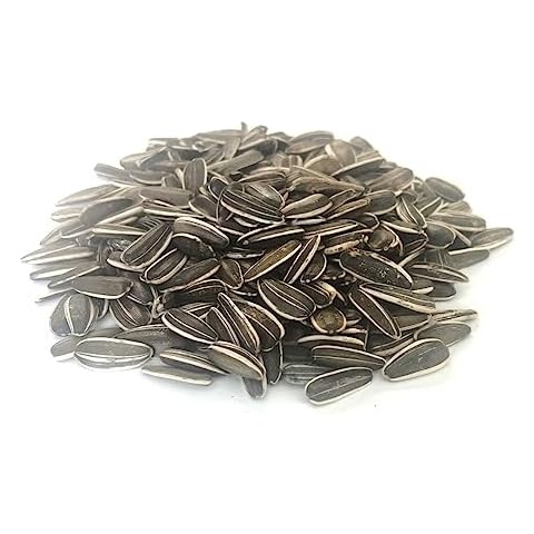 1kg MEDIUM SUNFLOWER SEED MIXED CAGE BIRD FOOD LGDS Cover