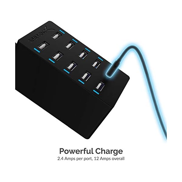 Sabrent 60 Watt (12 Amp) 10-Port [UL Certified] Family-Sized Desktop USB Rapid Charger. Smart USB Ports with Auto Detect Technology [Black] (AX-TPCS) - Image 5
