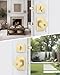 Goldenwarm Gold Exterior Door Knob with Deadbolt, Square Contemporary Brushed Gold Exterior Door Lock Set, Heavy Duty Brass Front Entry Door Locksets (1 Pack)