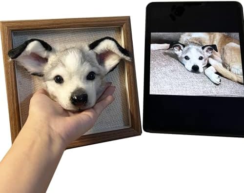 Custom Pet Plush Frame | Personalized Wool Pet Portrait | Wool Dog/Cat Memorial Frame | Pet Lover Gift | Pet Loss Gift