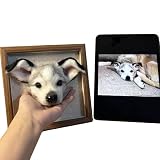 Custom Pet Plush Frame | Personalized Wool Pet Portrait | Wool Dog/Cat Memorial Frame | Pet Lover Gi