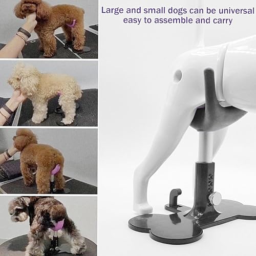 Support de bain debout pour chiens en silicone avec échelle ajustable - 5