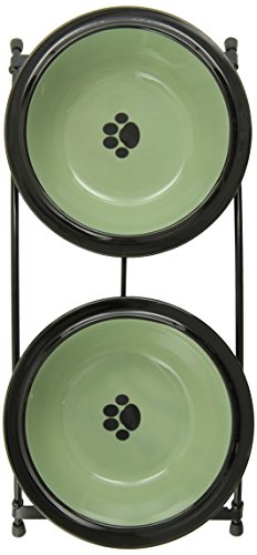 PetRageous Designs Buddy's Best Feeder, Sage